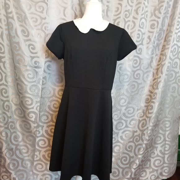 Torrid textured skater dress w/Peter pan collar
